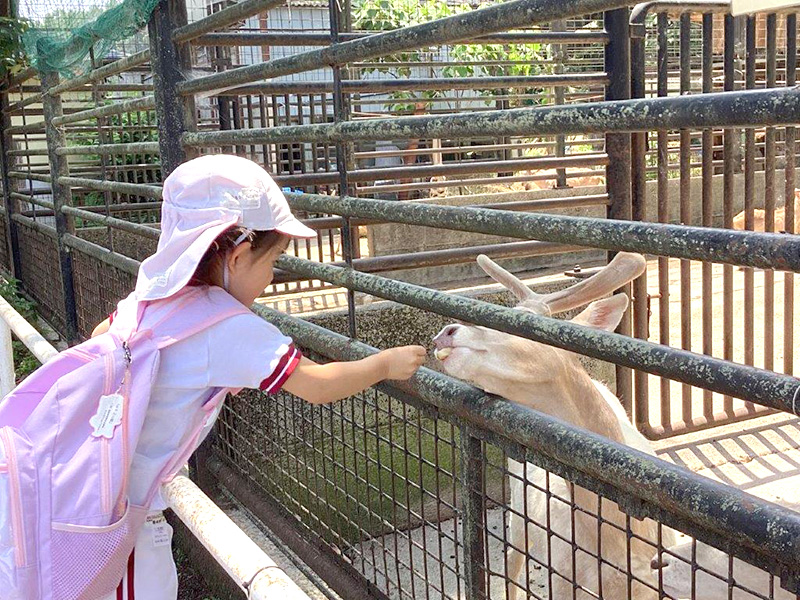 もっとほしい　メぇー