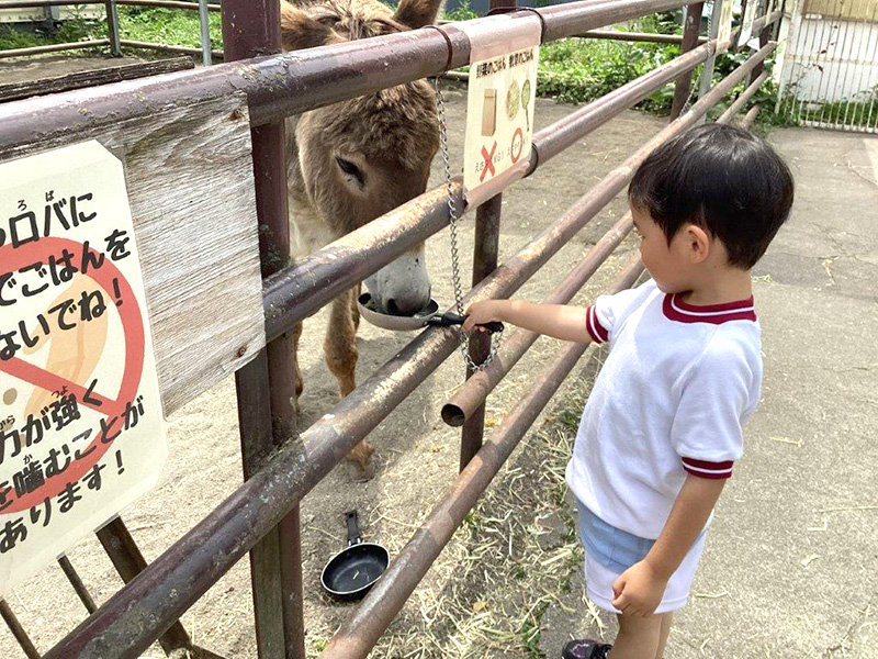 ロバ君　はいどうぞ